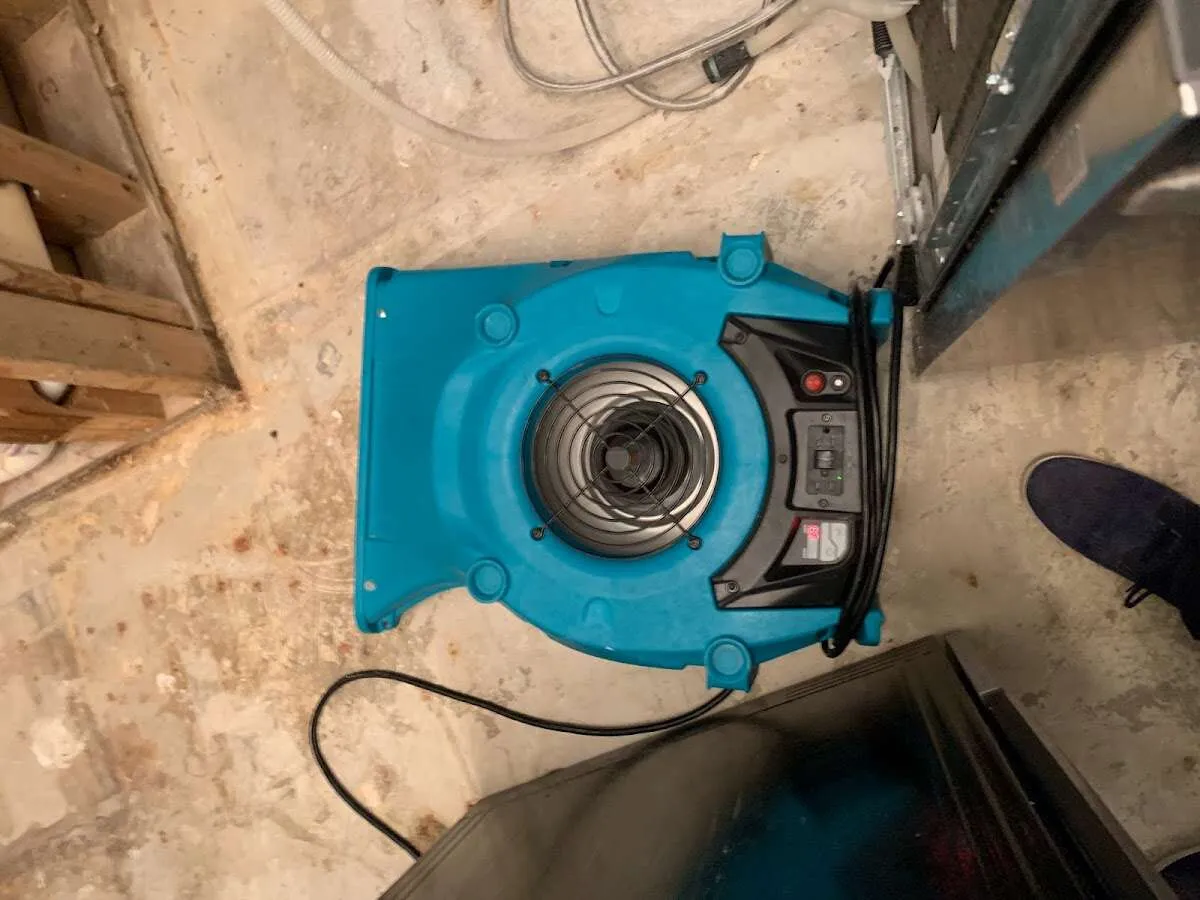 Air mover drying equipment for Mold Remediation & Removal in Williamsburg