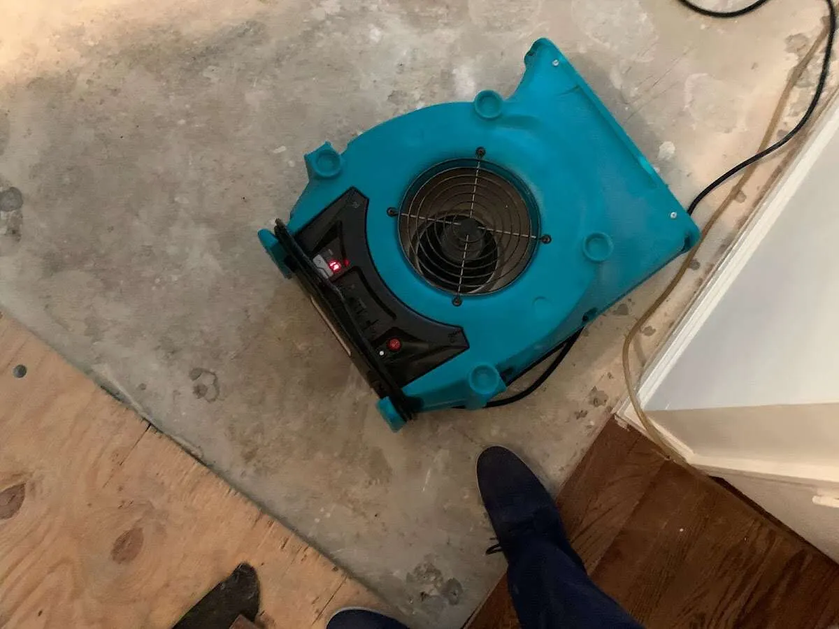 Air mover drying subfloor during Leak Detection & Repair in Williamsburg